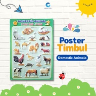 Poster Timbul Tempel Dinding Edukasi Anak Belajar Domestic Animal Hewan Domestik