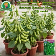 20pcs/pack Edamame Seeds for Planting Vegetables High Yield Green Soybeans Seeds Japanese Edamame Be