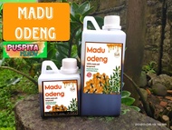 Madu Odeng Badui Original