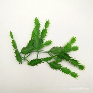 Accessories Aquarium 12CM Leaf Decoration Dragon Fruit Three-Section Plastic Bonsai Cactus Aquatic P