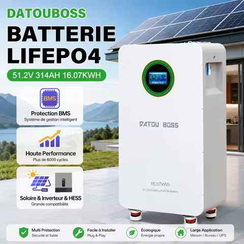 EU STOCK LiFePO4 51.2V 314Ah 16kWh battery with BMS protection for solar energy storage, for off-gri