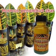 hormon Penumbuh akar tanaman / Penumbuh akar stek / obat penumbuh akar