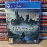 PS5  PS4 | Hogwarts Legacy