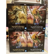 MANHOOD GOL.D.ROGER & WHITEBEARD