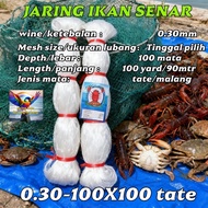 Fishing Net String Size 0.30x100x100 Tate/Horizontal