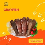 Heng Leong-Fresh Crayfish/Slipper Lobster 虾婆
