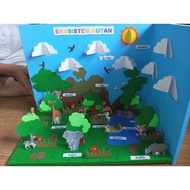 Forest ecosystem teaching aids Science Experiment Kit Educational Toys STEM Toys