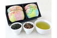 踱歌橋 - 【創業1946年】靜岡茶禮品2種類 傳統高級煎茶、玄米茶等禮盒裝 大禮盒裝 100g 2種類 (50gX2) 賞味期限2026.9.30