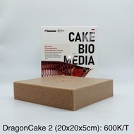 DODOFLY DRAGONCAKE-2 fish tank filter material 20x20x5cm