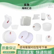 Suitable for Shark Vacuum Accessories Ae2000 Nv800 Iz662Hif100 Sponge Filter Cotton Upright