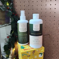 Soggy Paws Natural Products Looking Skin Dog