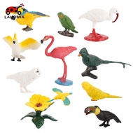 LAHOMIA 10pcs Mini Bird Model Egret Parakeet Macaw Education Children World Model
