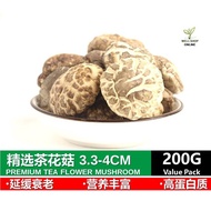 Well Shop Herbs Premium Tea Flower Mushroom - 精选茶花菇 - 200G