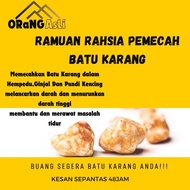 (Batu karang)Ramuan Rahsia Batu Karang 100% organik