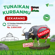 Qurban / Kurban 1/7 Kerbau Palestina (Frozen)