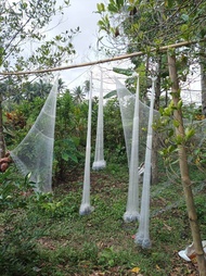 jala ikan wader  3/4nchi murah 17meter