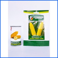 ◭ ♕ ☫ Condor Bravado F1 Hybrid Sweet Corn Seeds