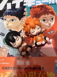 排球少年 Q版公仔及徽章 日向翔陽、影山飛雄、黑尾鐵朗、孤爪研磨、及川徹、月島螢、山口忠