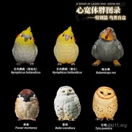Planet Haiwan Jantung Badan Gemuk Siri Burung Kotak Telur Burung Burung Salji Burung Burung Burung C