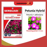 Serbajadi Flower Seed Petunia Hybrid/ Biji Benih Bunga - FS015