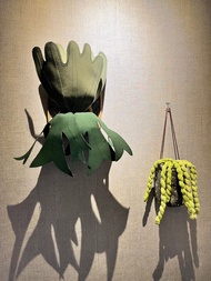 【拾月手作坊】(現貨)女王鹿角蕨/居家裝飾/壁飾/綠植