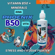 Phoenix B50 Vita – Vitamin B50 + Minerals Oral Drops (60mL)