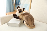 25-40 Cm Simulation Cat Plush Toys American Shorthai Siamese Kitty Cute Pet Doll Stuffed Animal Chil