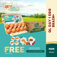 [JUNE PROMO] Buy 40pcs QL Eggs Day 1 Brain+ Medium FREE 1pc QL Eggs Plushie