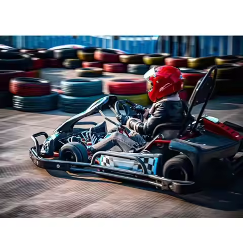 2020 Electric/Pull Starting System Cheap Go Kart, 4 Stroke 60km/h 270CC Racing Adult Go Kart