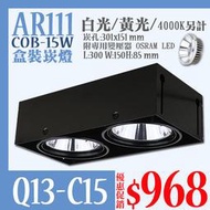【阿倫燈具】(UQ13-C15》LED COB 15W盒裝崁燈 無框 隱藏式 崁孔30*15公分 可調角度 聚光 2燈