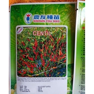 Benih Cili Centil F1 Hybrid Hot Pepper