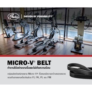 Gates Front Belt Micro-V 4PK815 | Honda Civic EG EK D15B D16A CV9295 4 Grooves 815mm