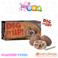 Mindware Dig It Up Dinosaur Skeletons Educational Learning Toys 13820792