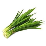 Pandan Leaf / Daun Pandan (Seikat/ 35g)