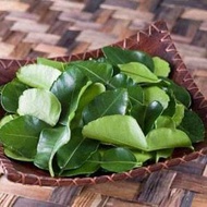 Fresh Grapefruit Leaves Hanoi Shop 500g