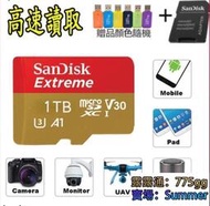 公司貨熱賣  記憶卡 SanDisk Extreme 1TB MicroSD 256G A2 U3 高速記憶卡