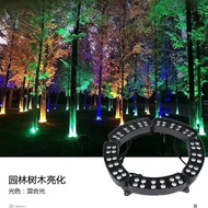 New Tree Holding LampLEDRing Holding Tree Lamp Solar Ring Tree Lamp Spotlight Tree Lamp Ground Plug Lamp Manufacturer