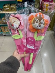 Chip n dale 毛絨花花 情人節禮物 情人節花束 Winnie the Pool 小熊維尼 小豬 大鼻鋼牙 奇奇 蒂蒂