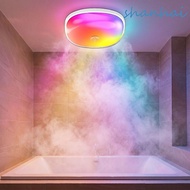 SHANHAI Rechargeable Shower Light, IP65 Waterproof 300LM Bright Waterproof Shower Light, Colors 16 C