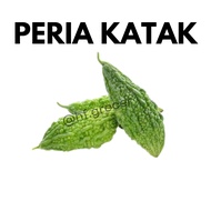 Peria Katak | Mini Bittergourd 500g Fresh Vegetable