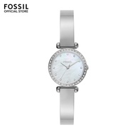 Fossil Women's Tillie Mini Analog Watch ( BQ3893 ) - Quartz, Silver Case, Round Dial, 10 MM Silver Stainless Steel Band