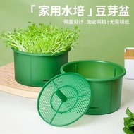 Bean Sprout Machine for Home Use, New Sprouting Artifact, Large Capacity Bean Sprout Jar, Fresh Gree