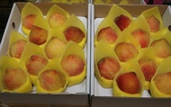 【桃香預購！香甜多汁的黃金水蜜桃 10顆禮盒x2盒】市場少見 農藥殘留0檢出給你好安心