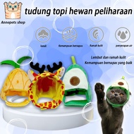 Cat hat cat hat rabbit cat hat knitted cat hat