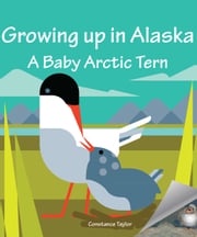 Growing up in Alaska: A Baby Arctic Tern Constance Taylor