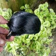 Funbun hair clip-on bun, Korean snail hair clip-on bun