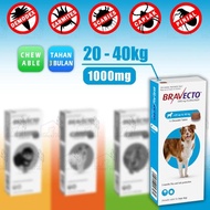 Bravecto For Dogs / Dogs / Dogs / Bravecto Chewable