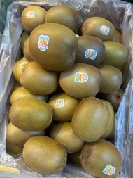 紐西蘭奇異果 18裝 （31隻）