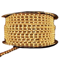 WARM WHITE Waterproof AC 220V LED STRIP Meter Light