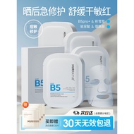 Centella Asiatica B5 Mask Hydrating Moisturizing Whitening Remove Yellowness Dullness After Sunburn 